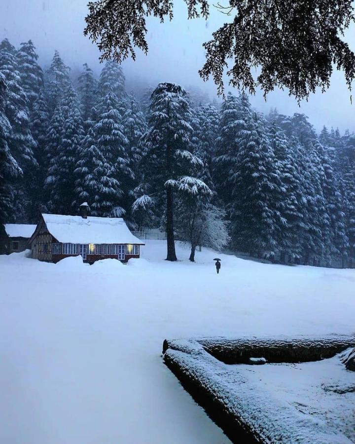 Homestay Mountain View Chamba (Himachal Pradesh)