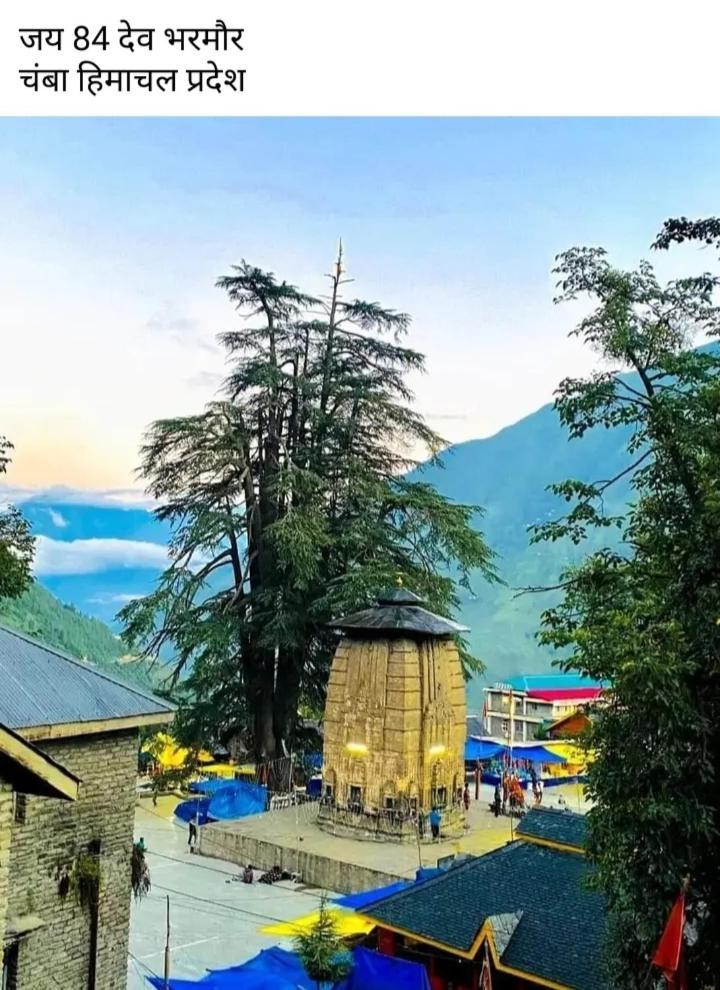 Mountain View Homestay